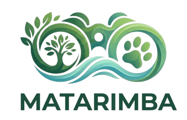 Logo sistem